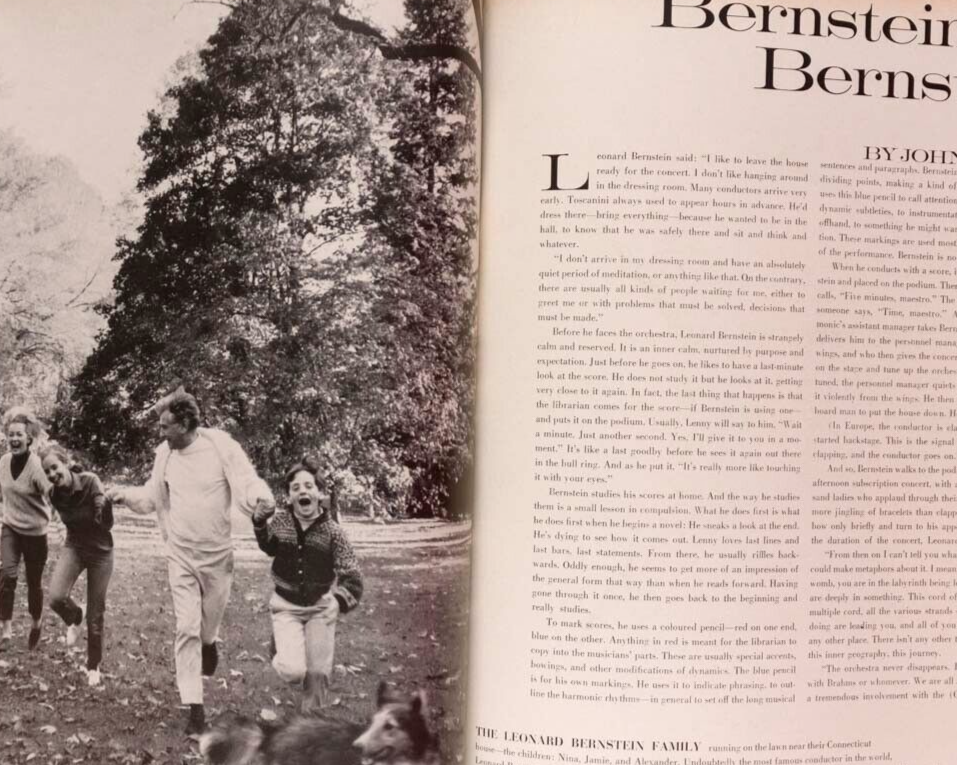 Francoise Rubartelli NAOMI SIMS Audrey Hepburn VOGUE magazine 1968 November PENN