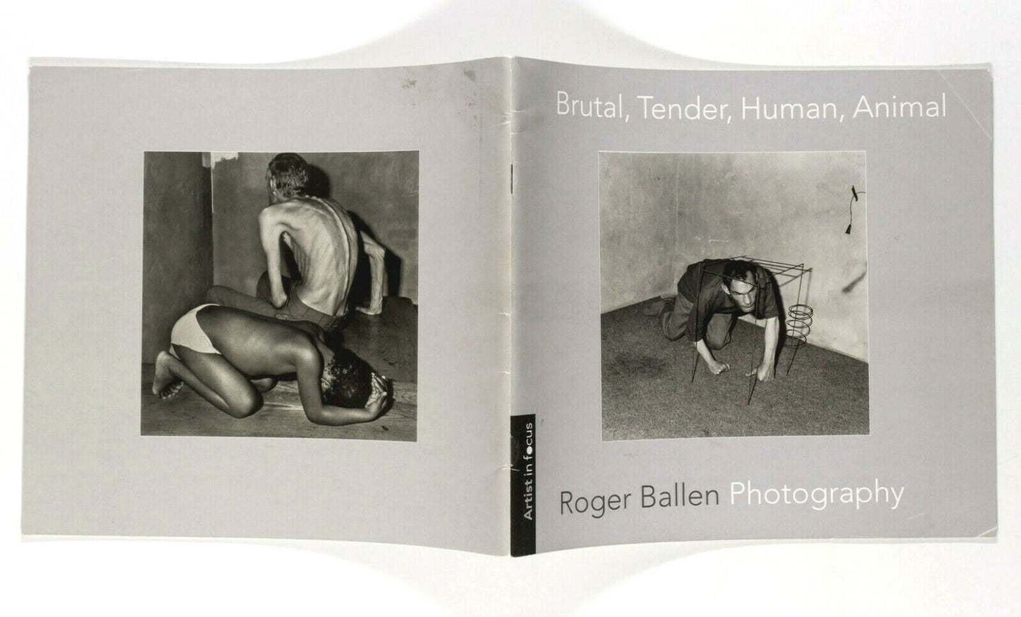 ROGER BALLEN Brutal Tender Human Animal LIMITED EDITION OZ BOOK Artist in Focus