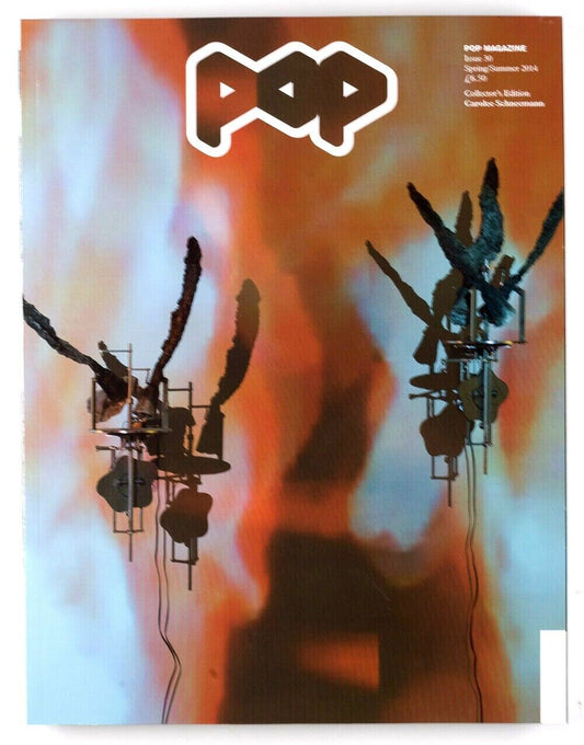 CAROLEE SCHNEEMANN Collectors edition Issue of POP fashion magazine Artist RARE