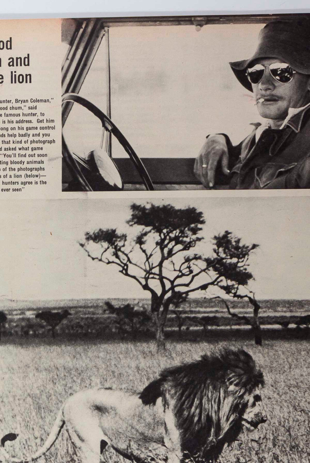 PETER BEARD End Of The Game CELIA HAMMOND Otto Lucas ~ SUNDAY TIMES magazine VTG