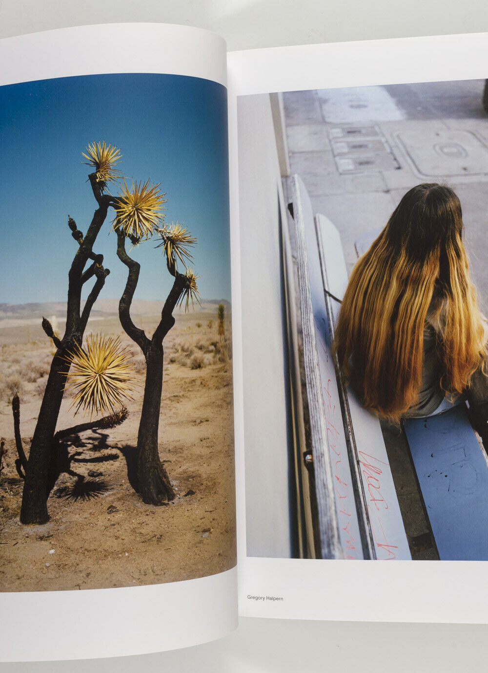 VIVIANE SASSEN Stephen Gill PETER WATKINS Mayumi Hosokura HOTSHOE photo magazine