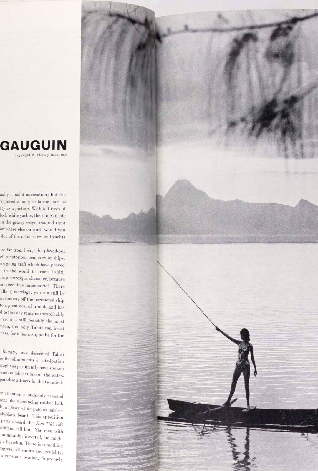 IAN FLEMING Norman Parkinson PATRICK WARD Queen magazine 1960s Katherine Pastrie