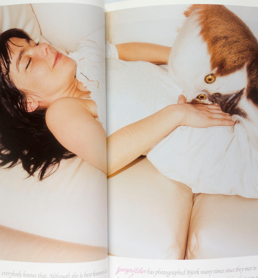 BJORK Juergen Teller BLESS JT Leroy INDEX magazine June July 2001 FISCHERSPOONER