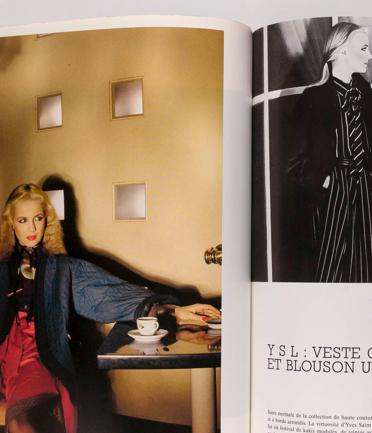 Janice Dickinson GUY BOURDIN Marie Helvin PARIS VOGUE February 1978 Iran HOMMES