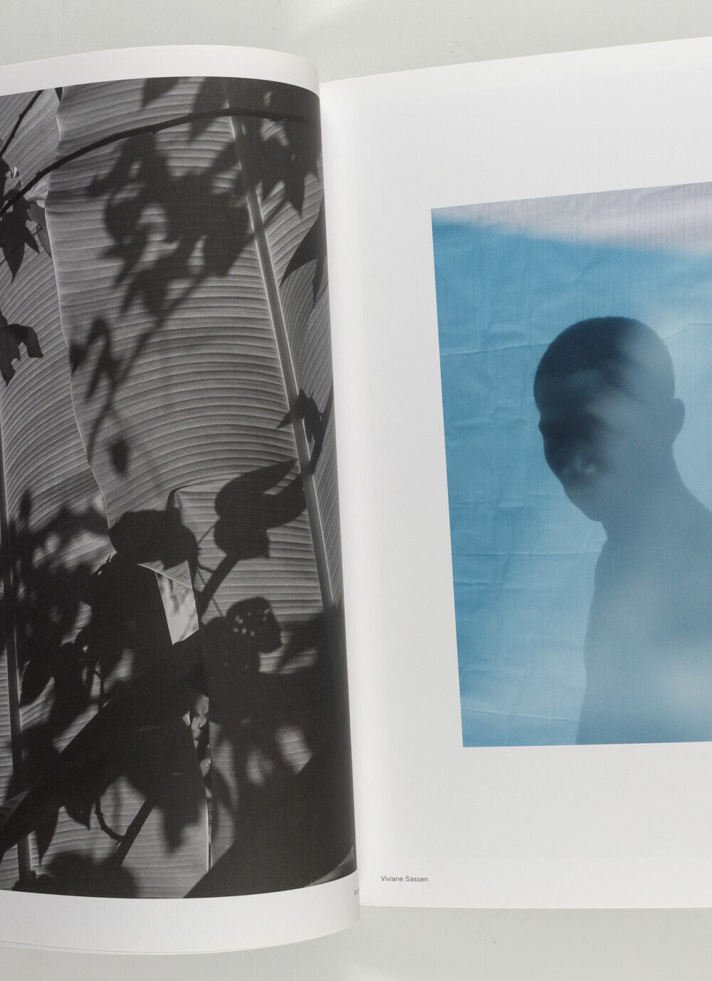 VIVIANE SASSEN Stephen Gill PETER WATKINS Mayumi Hosokura HOTSHOE photo magazine