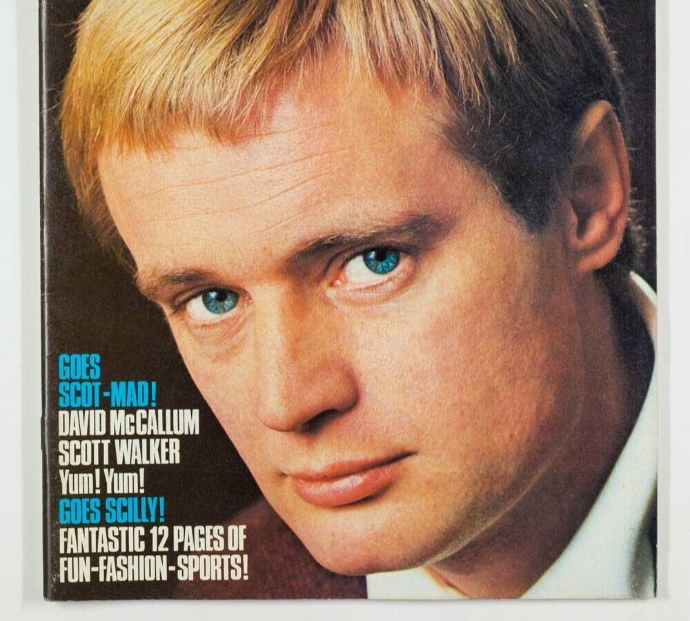 David McCallum SCOTT WALKER Lee Majors ERIC BURDON Lovin' Spoonful RAVE MAGAZINE