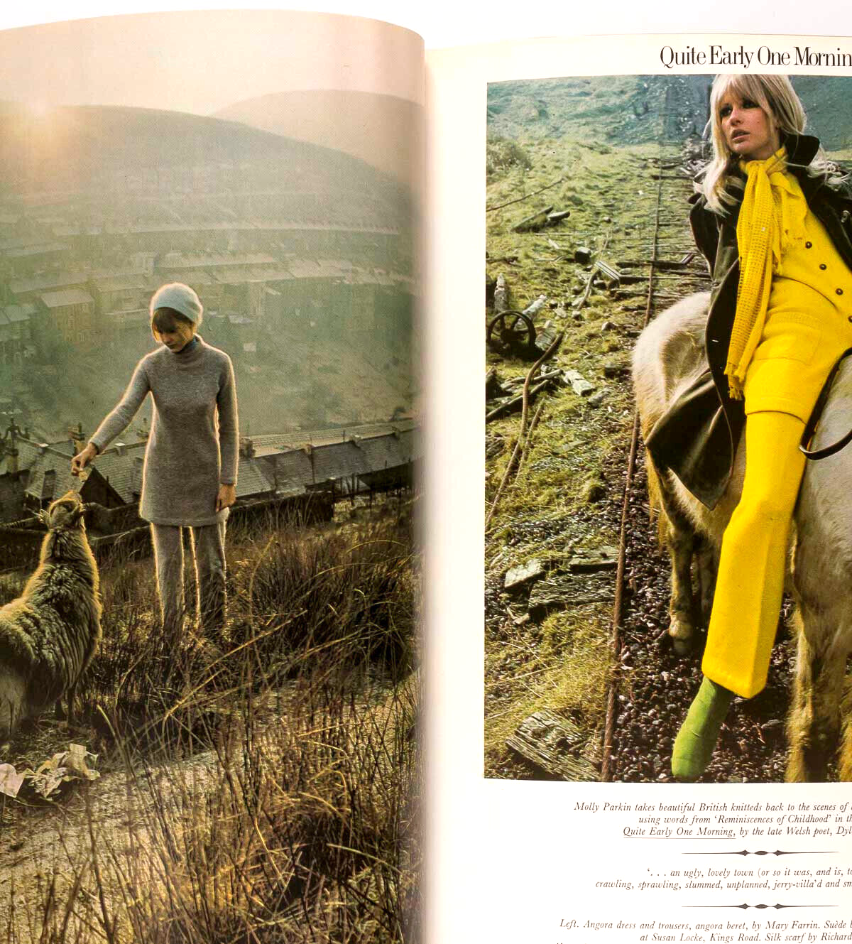 SARAH MOON Hans Feurer HARRI PECCINOTTI Sue Lloyd PAT BOOTH Peter Blake HARPER'S