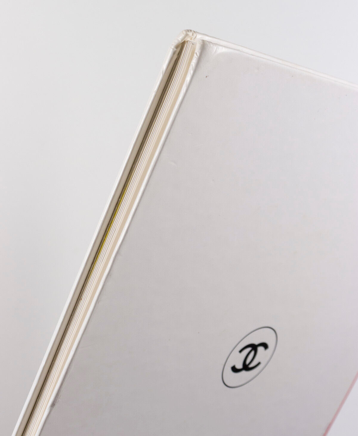 Trish Goff & Brandi Quinones KARL LAGERFELD vtg SKIWEAR Eyewear  CHANEL lookbook